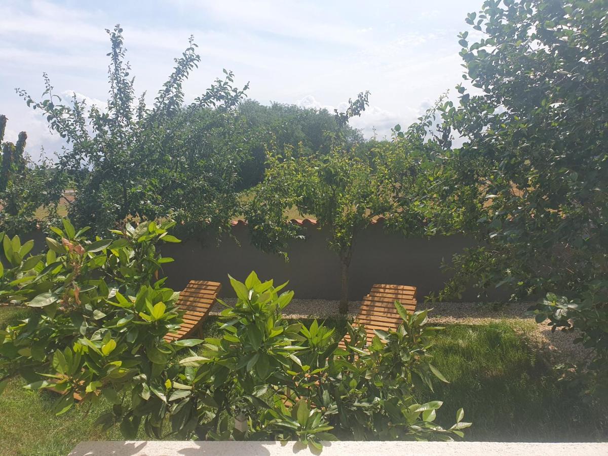 Villa Ancora Savudrija Exteriör bild